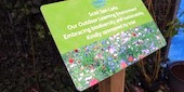 Intel sponsored garden at San Carlo National School Leixlip County Kildare 2